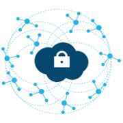 private-wide-area-network